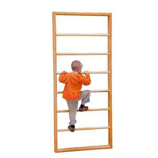 Sport-Thieme TuWa Large Span Wall Bars 2 Sport-Thieme TuWa Large Span Wall Bars - Image 2