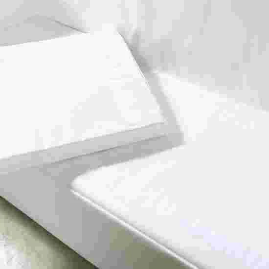 Sport-Thieme Convertible Sofa 12 Sport-Thieme Convertible Sofa - Image 12