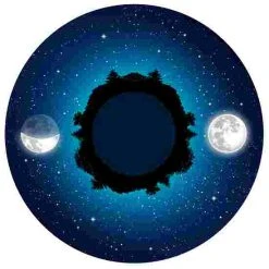 Sport-Thieme Effect Wheel -Sport-Thieme store 176 6149