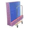 Sport-Thieme Mat Set With Trolley