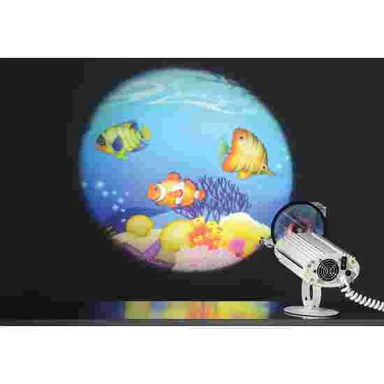 Sport-Thieme Projector For Effect Wheels 1 Sport-Thieme Projector For Effect Wheels