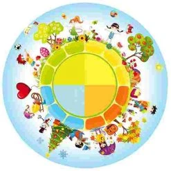 Sport-Thieme Effect Wheel -Sport-Thieme store 196 4468