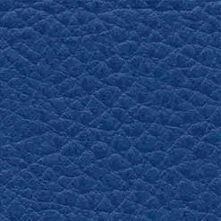 Sport-Thieme Exercise/Massage Roll