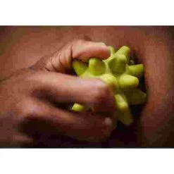 RumbleRoller Beastie Ball -Sport-Thieme store 256 9316 8