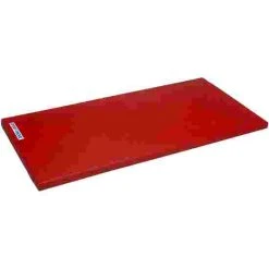 Sport-Thieme "Special" Gymnastics Mat, 150x100x8 Cm
