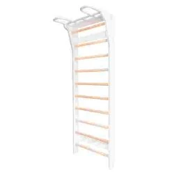 Fitwood TROLLSTIGEN Wall Bars -Sport-Thieme store 286 7120