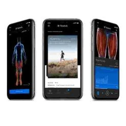 Theragun "Prime" Percussion Massage Device -Sport-Thieme store 298 4009 7