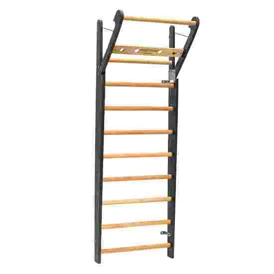 Nohrd "Sport-Thieme Edition" Wall Bars 1 Nohrd "Sport-Thieme Edition" Wall Bars