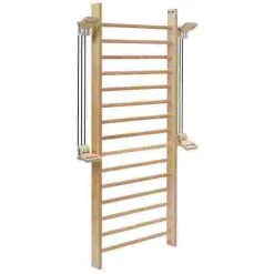 Sport-Thieme "Fit" Wall Bars -Sport-Thieme store 317 4601 4