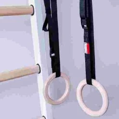 BenchK "413" Fitness Wall Bars -Sport-Thieme store 328 6409 7